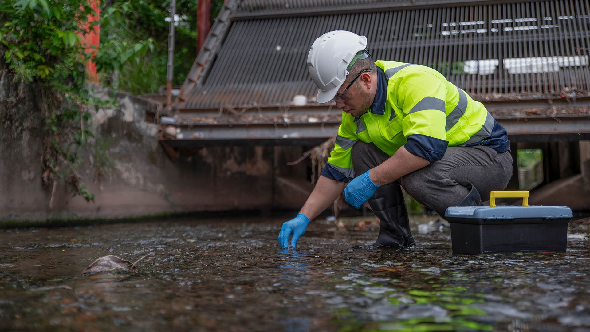 Virtual Research Environments: What They Are and Why Aquatic Science Needs Them