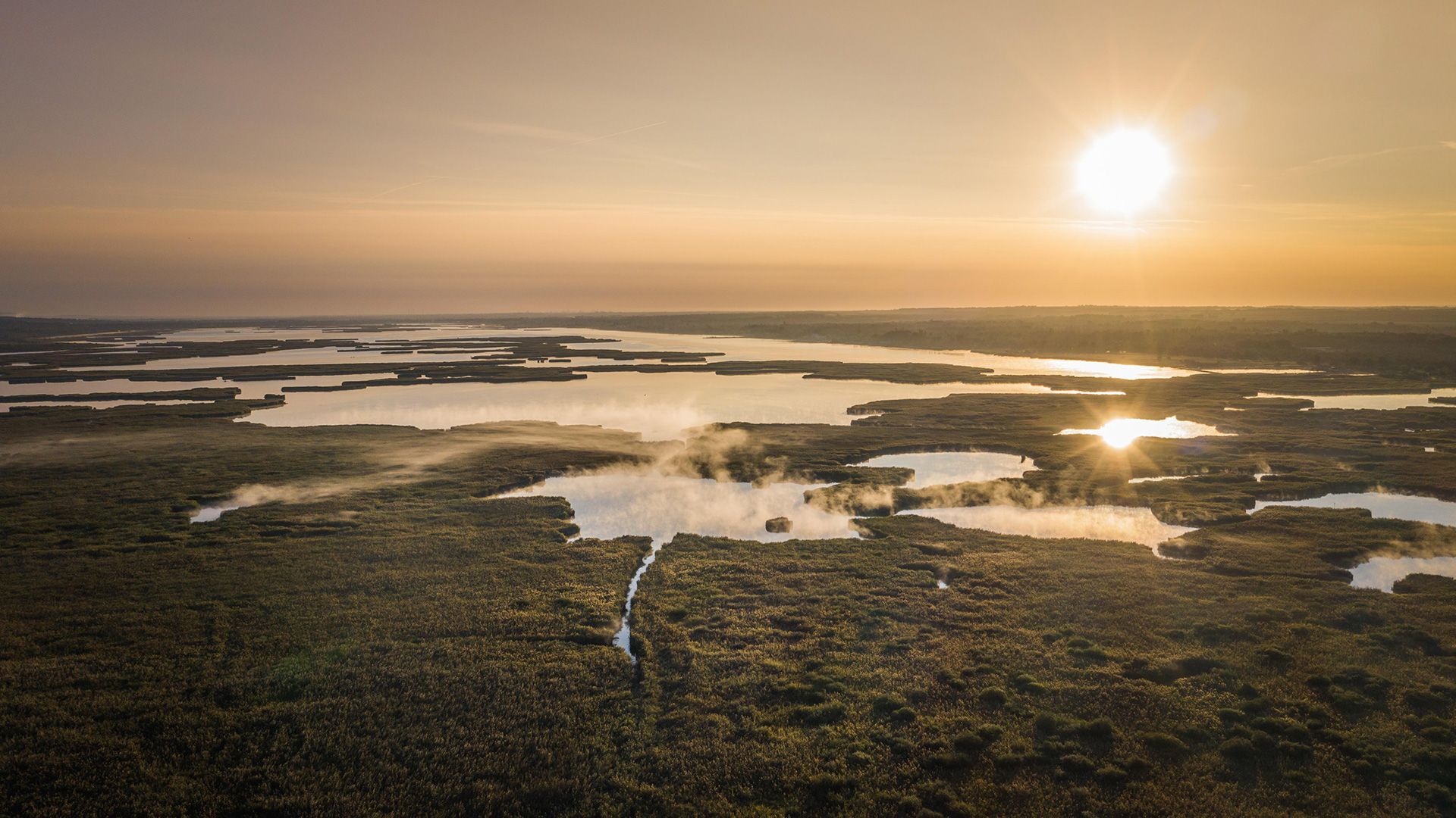 Freshwater Biodiversity Is Declining Faster Than Marine or Terrestrial — Why Isn't It Getting More Attention?