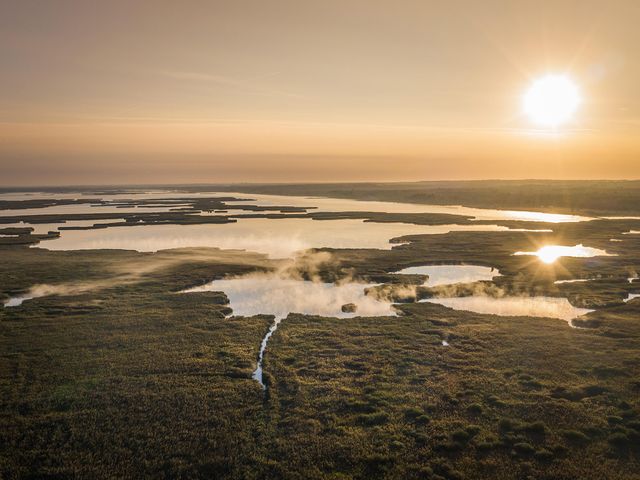 Freshwater Biodiversity Is Declining Faster Than Marine or Terrestrial — Why Isn't It Getting More Attention?