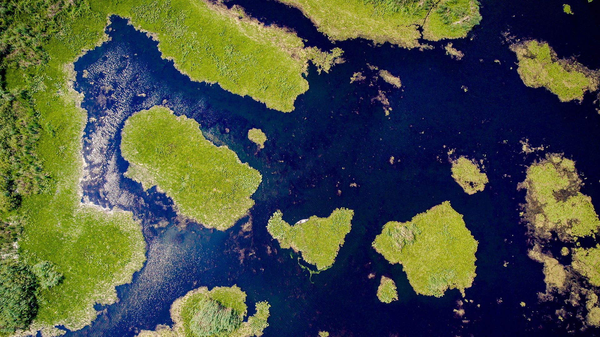 Connecting Data and Rivers: Prioritising Danube Restoration through Connectivity and Open Science