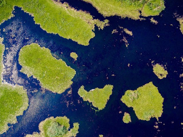 Connecting Data and Rivers: Prioritising Danube Restoration through Connectivity and Open Science